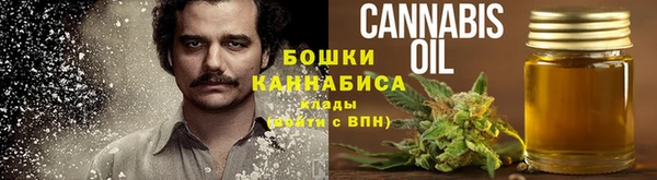 соль ск Абаза