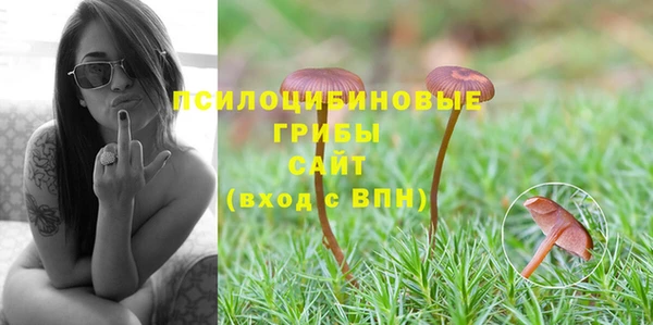 не бодяженный Абдулино