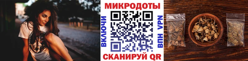 Псилоцибиновые грибы Psilocybine cubensis  Псков 