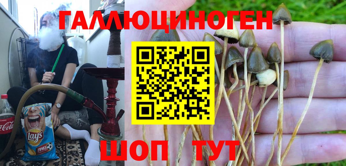 Галлюциногенные грибы Psilocybe  Вход с VPN  наркошоп  Псков 